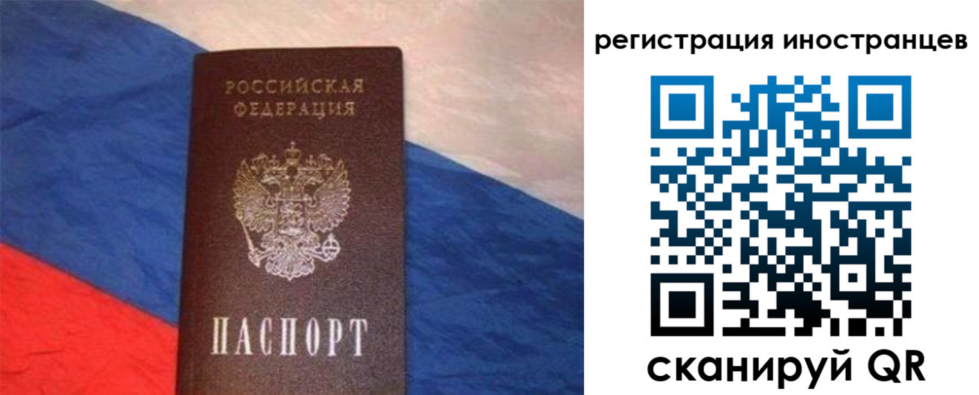 прописка в Коле